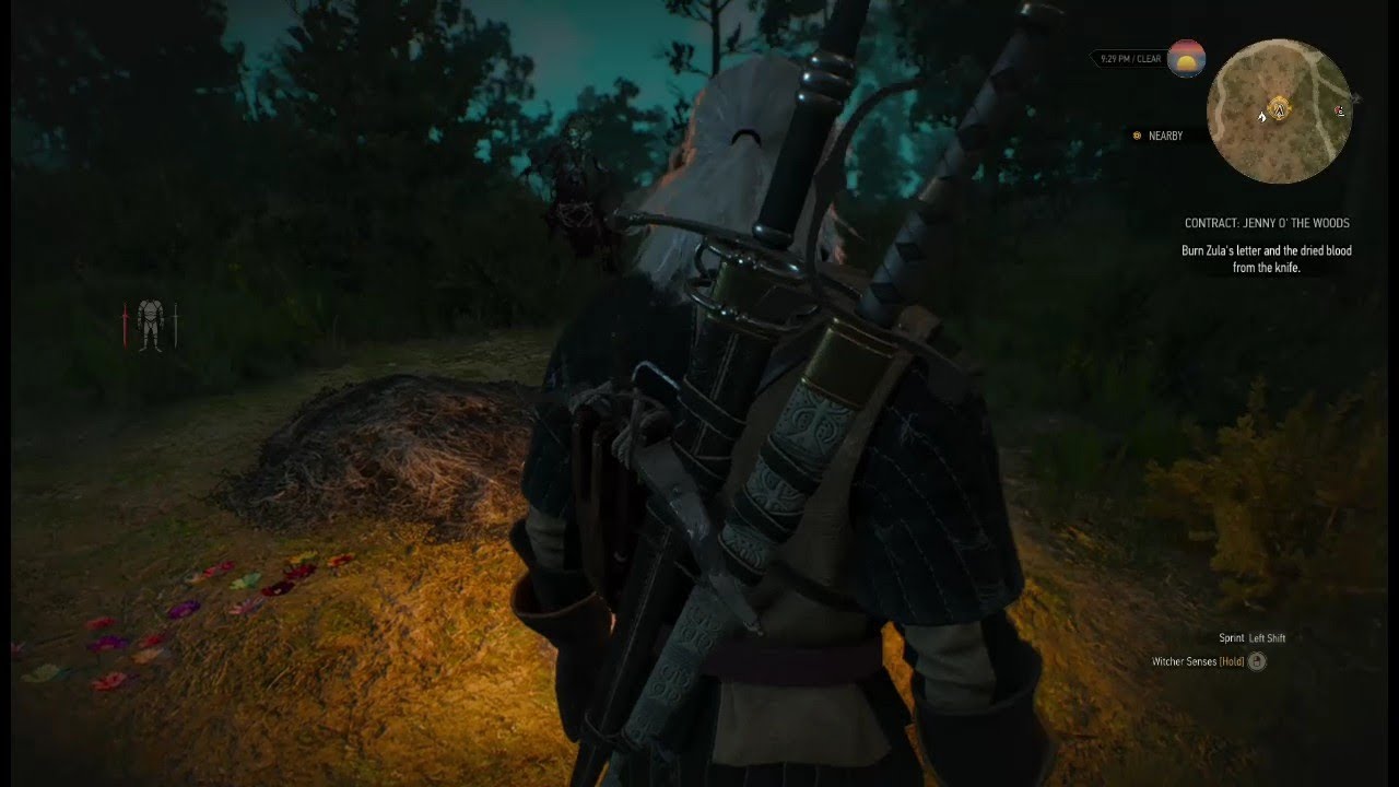 THE WITCHER 3 WILD HUNT | GAMEPLAY | WALKTHROUGH [ PART-21 ] First Playthrough