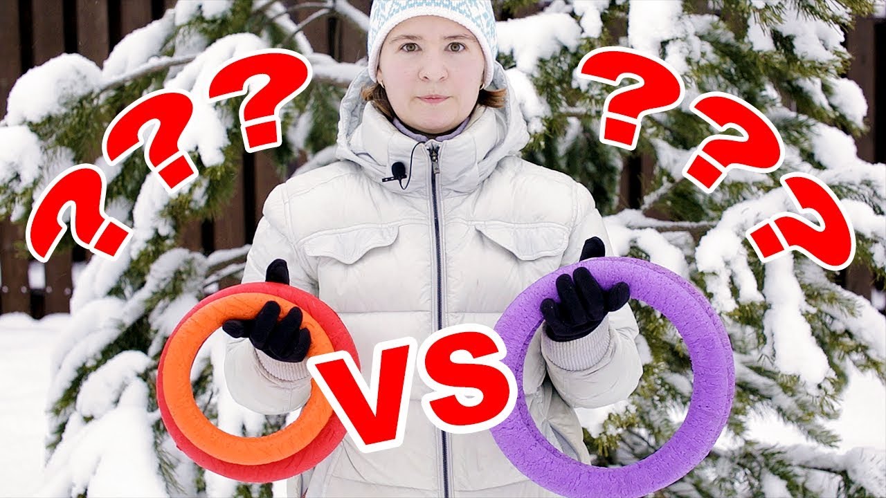 Сравнение колец для собак Puller и Doglike, что лучше?