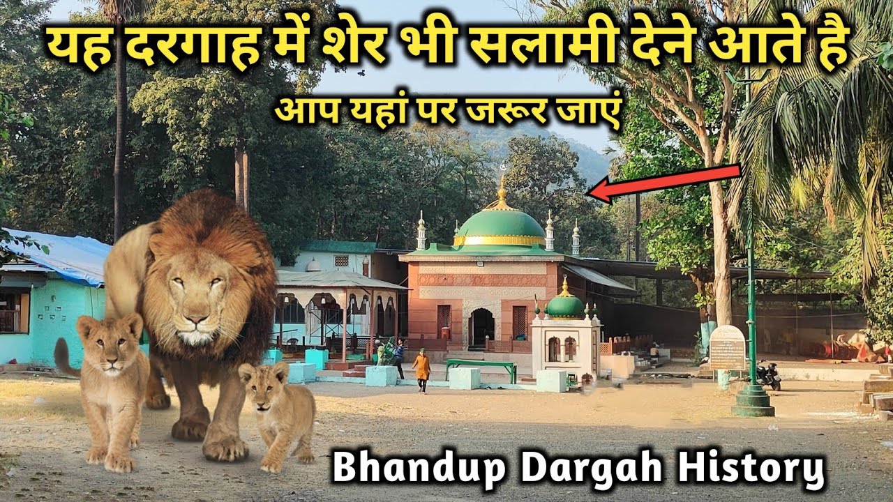 यह दरगाह में शेर भी सलामी देने आते है | Hazrat Gaiban Shah Baba | Bhandup Dargah | NRQV. #dargahvlog