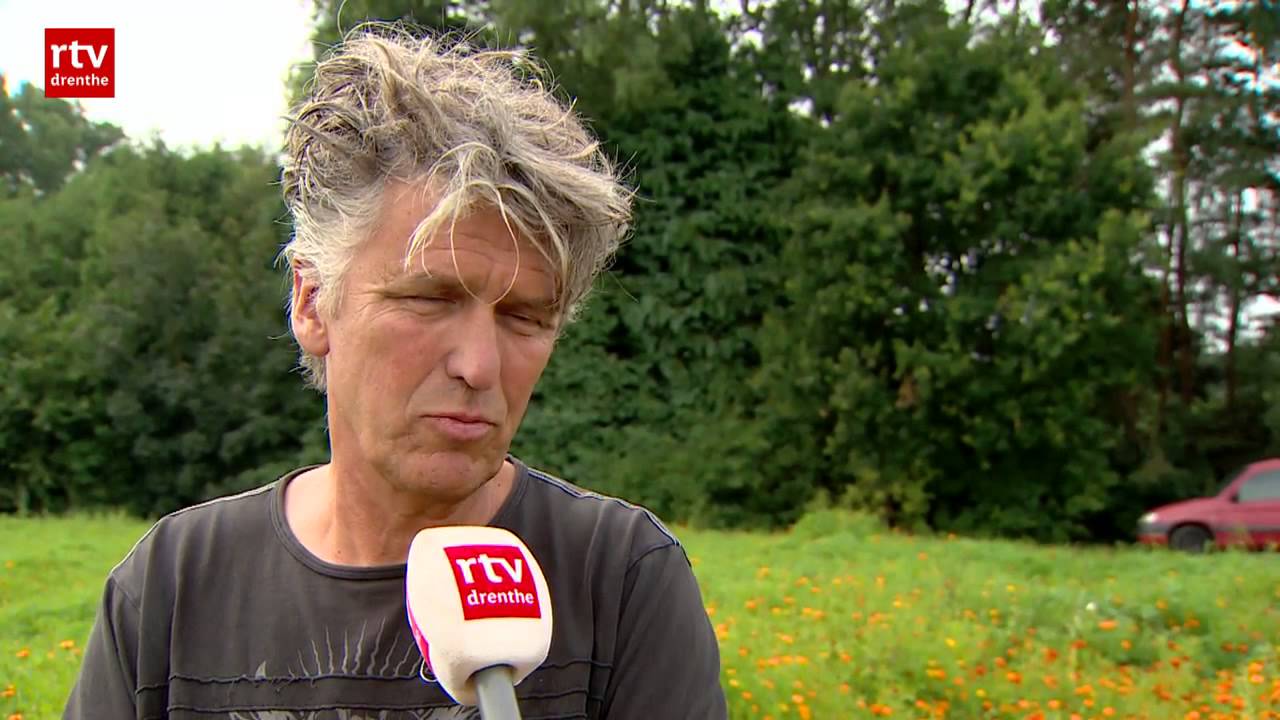 Alternatief voor gif in lelieteelt? Afrikaantjes veroveren Drenthe