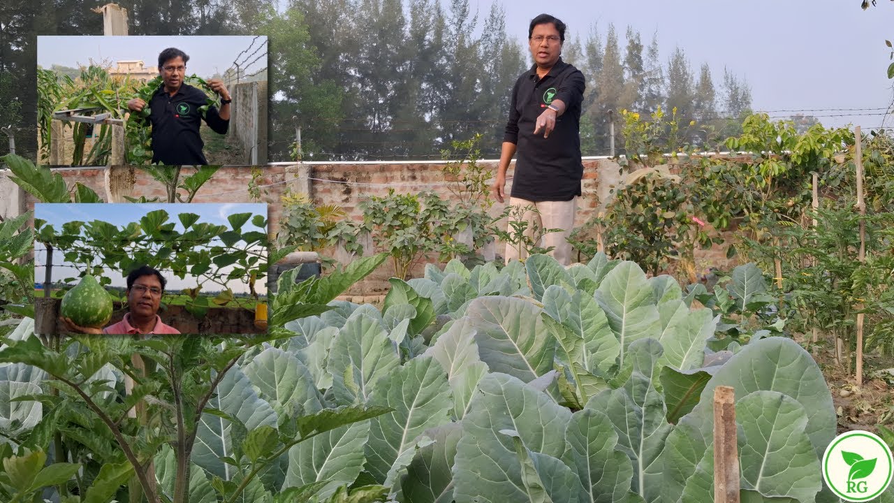 ❄️ শীতের বাগানে সবজির হাট ❄️ My Winter Garden Tour ❄️ Fresh Veggies Without Chemicals!