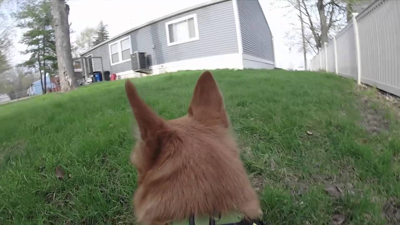 GoPro Hero3+ Camera 