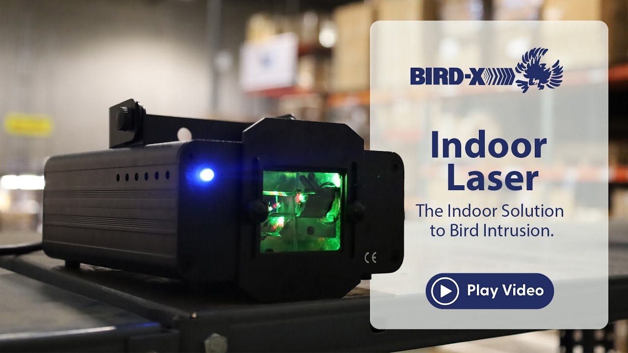 Bird-X Indoor Laser I | Stop Birds Indoors with Laser Precision