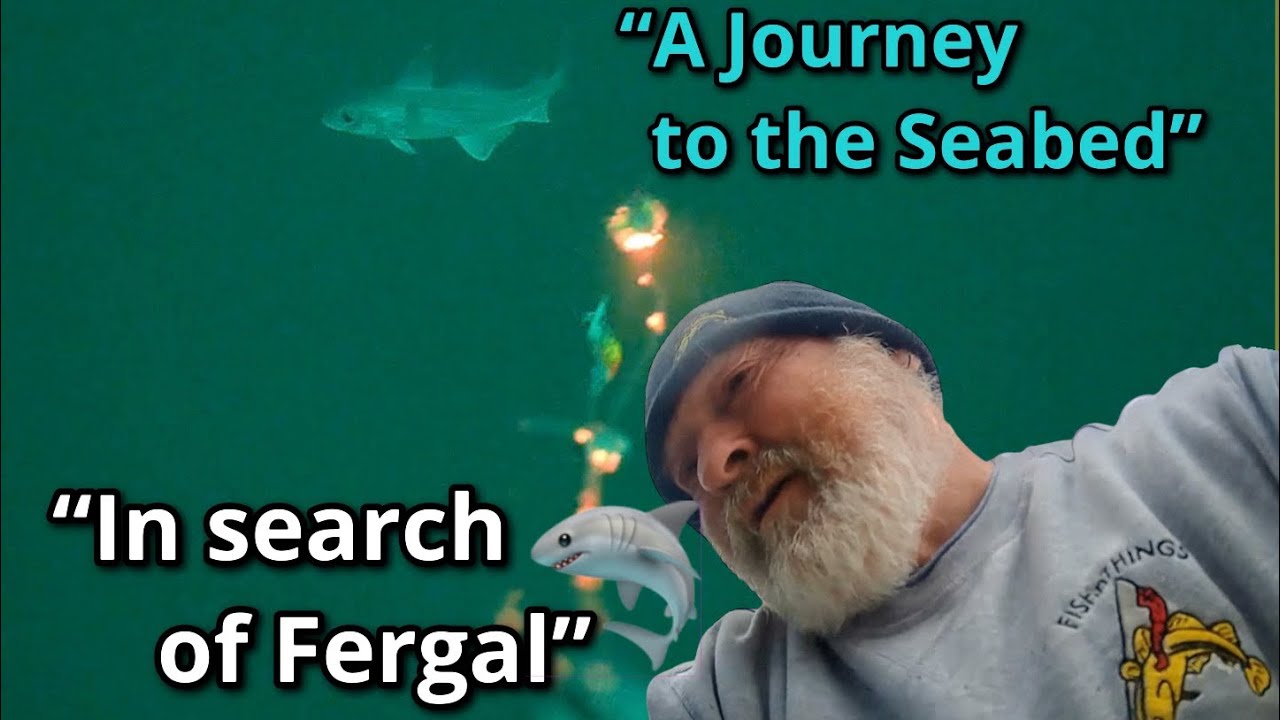 Squid lures: underwater: FISHnTHINGS: In search of Fergal 🦈