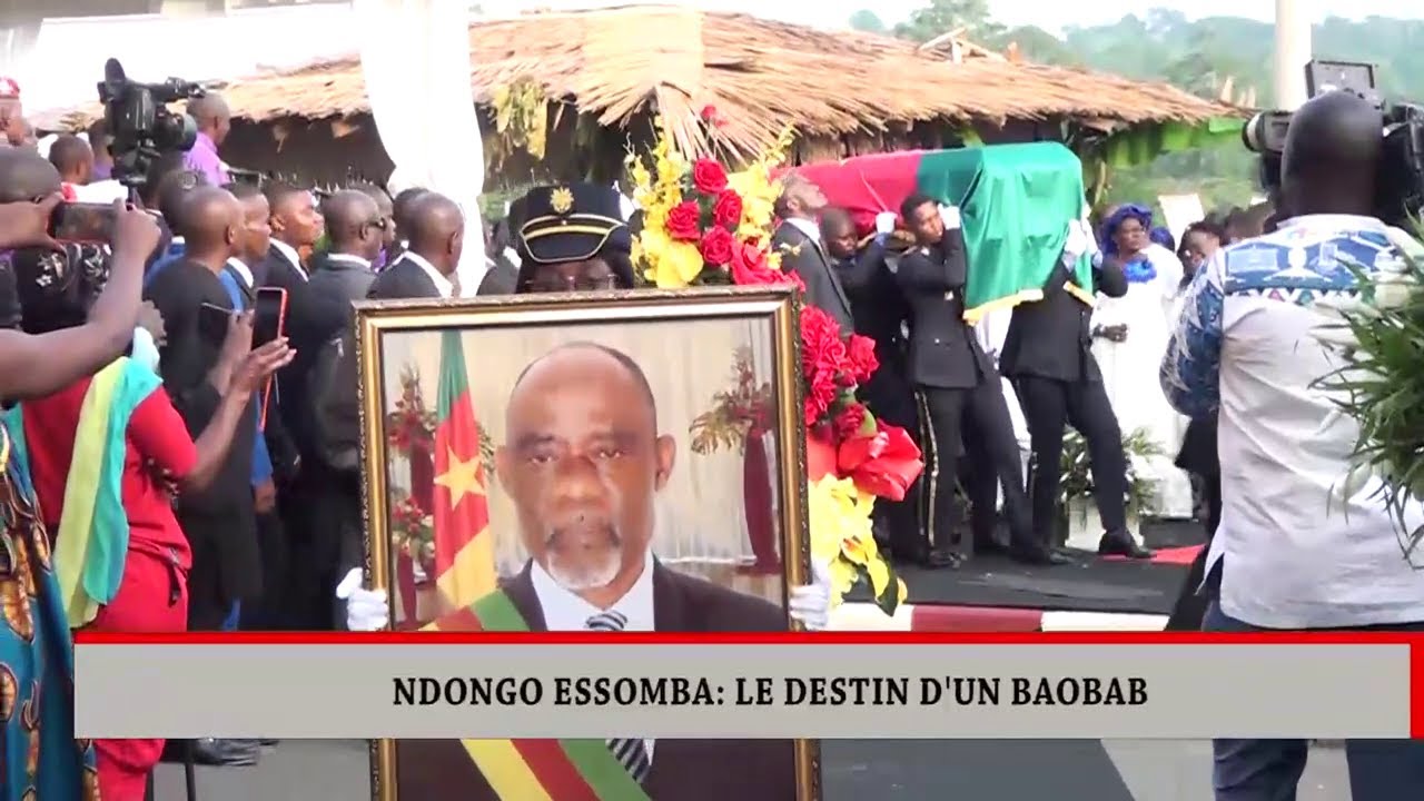 NDONGO ESSOMBA : LE DESTIN D'UN BAOBAB