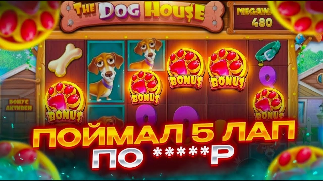 ОГО! 5 ЛАП В ЖИРНОЙ БОНУСКЕ THE DOG HOUSE MEGAWAYS 1000/ УВЕРЕННЫЙ ЗАНОС В ДОГ ХАУС МЕГАВЕЙС 1000