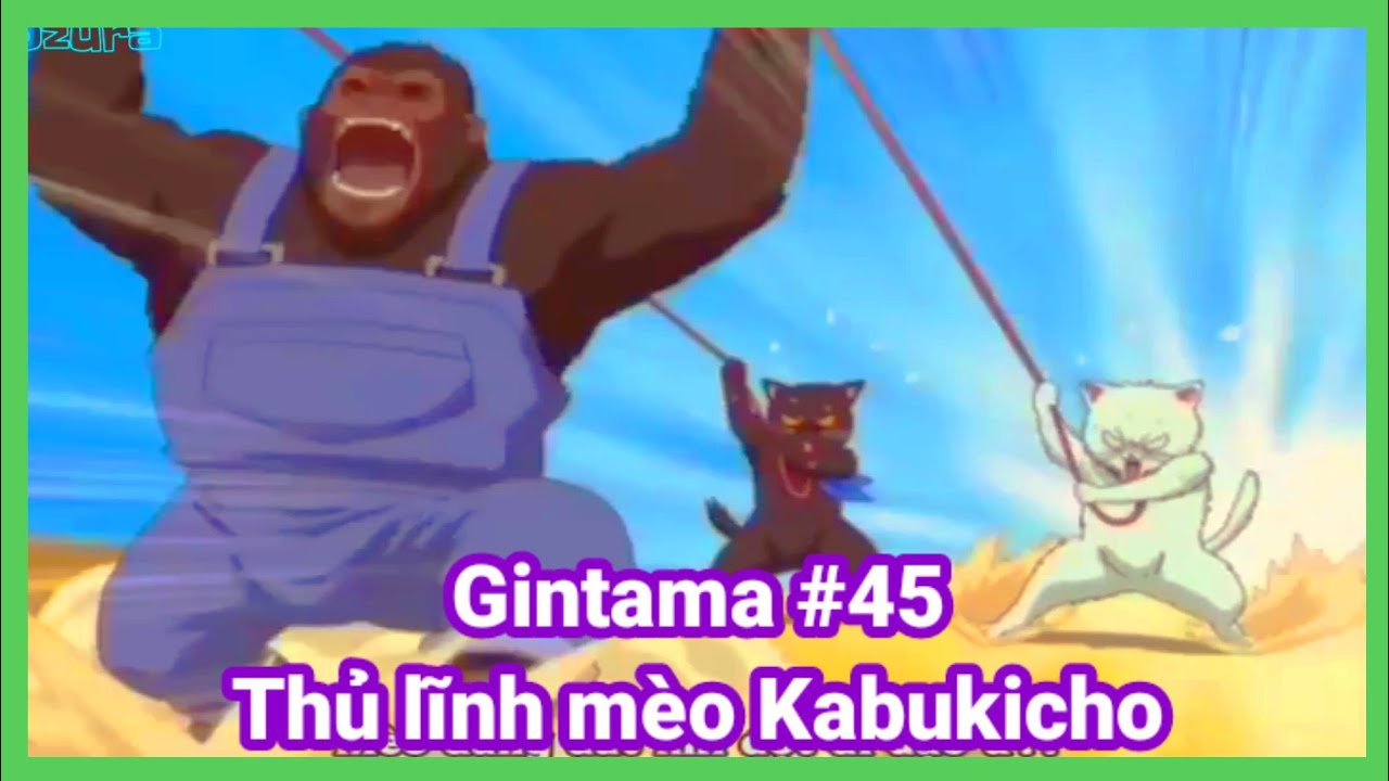 Trích đoạn Gintama #45 | Arc Thủ Lĩnh Mèo Kabukicho | Gintama vietsub