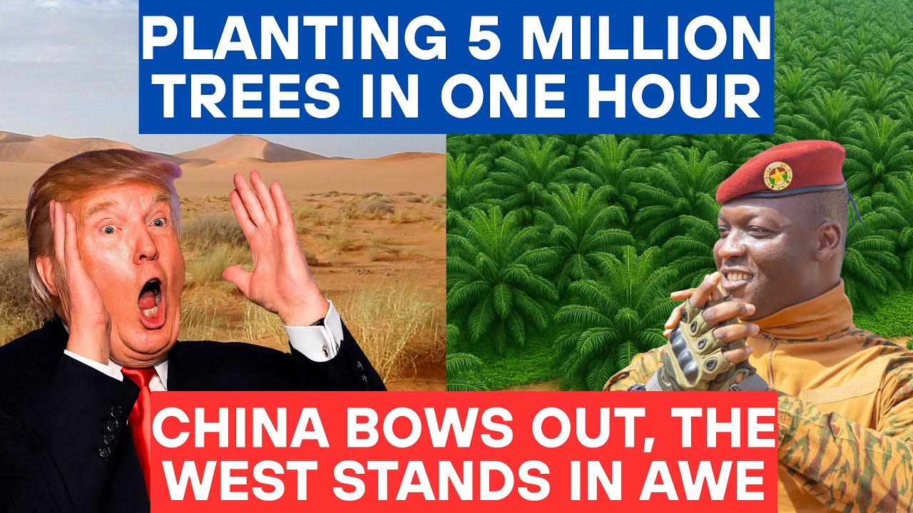 They Planted 5 Million Trees, And Shook the World | Africa Rising