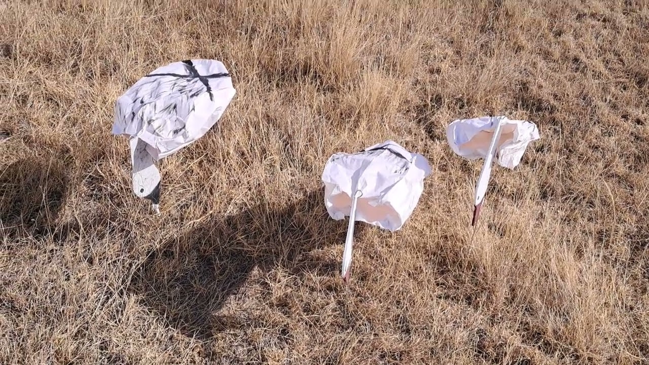 Diy snow goose decoy finished product.