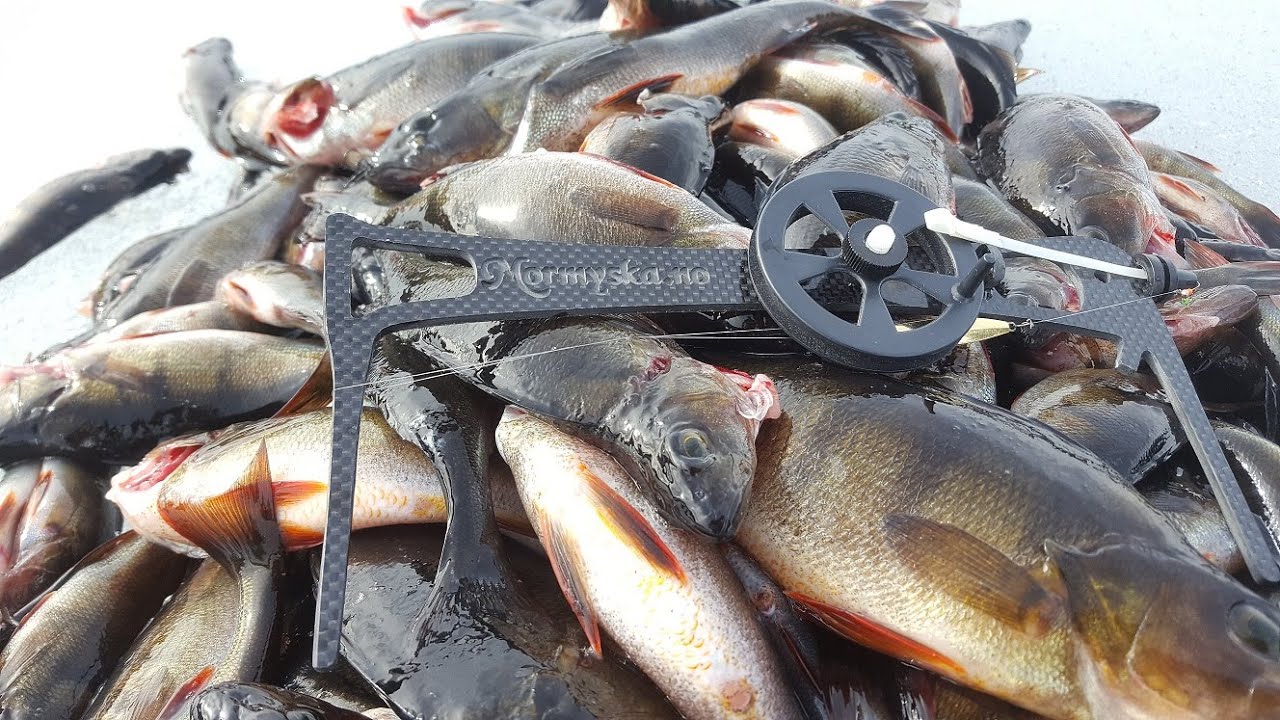 Ice fishing with Competition Rod From Norway