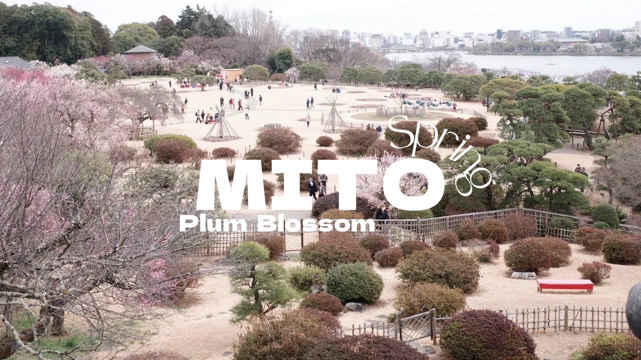 【偕楽園】梅まつり｜水戸の春散歩｜茨城旅行｜3月のおすすめスポット｜和カフェに行く｜CAFE｜JAPAN TOUR｜Plum Blossoms