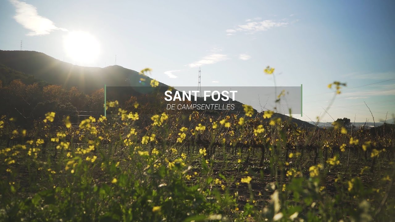 Apropa't i viu Sant Fost de Campsentelles