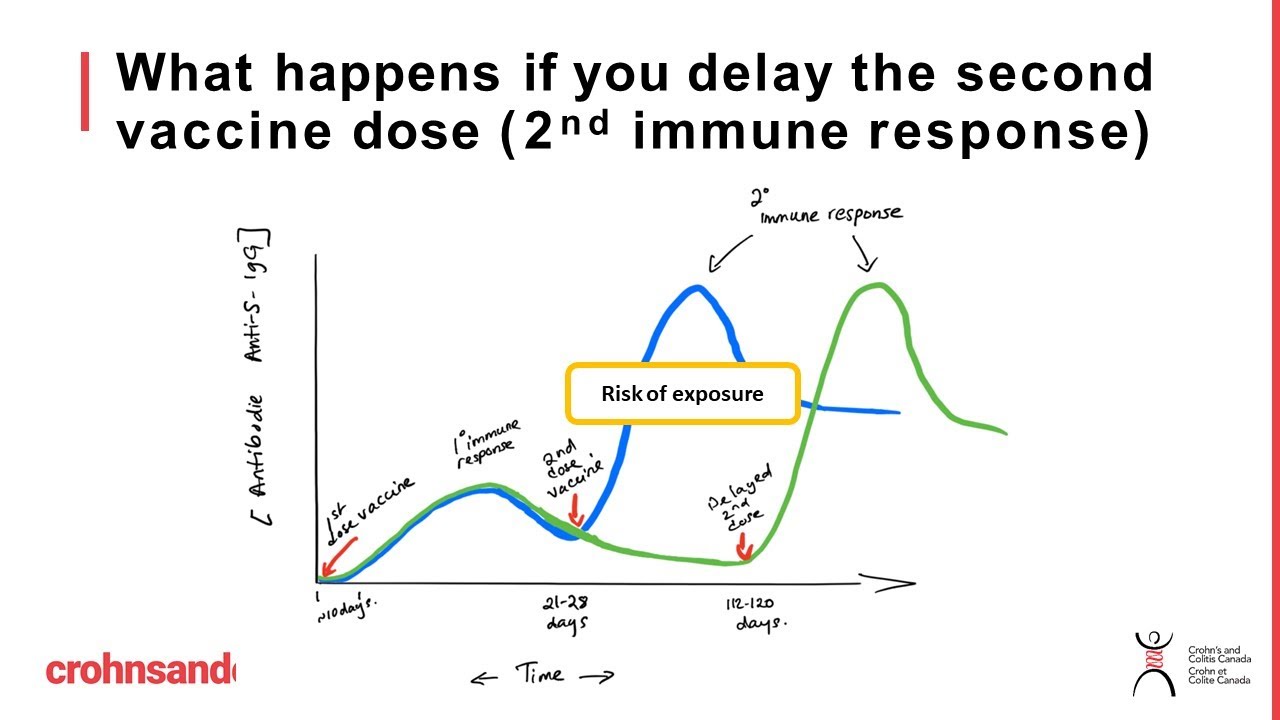 Delaying the second dose of COVID-19 vaccines