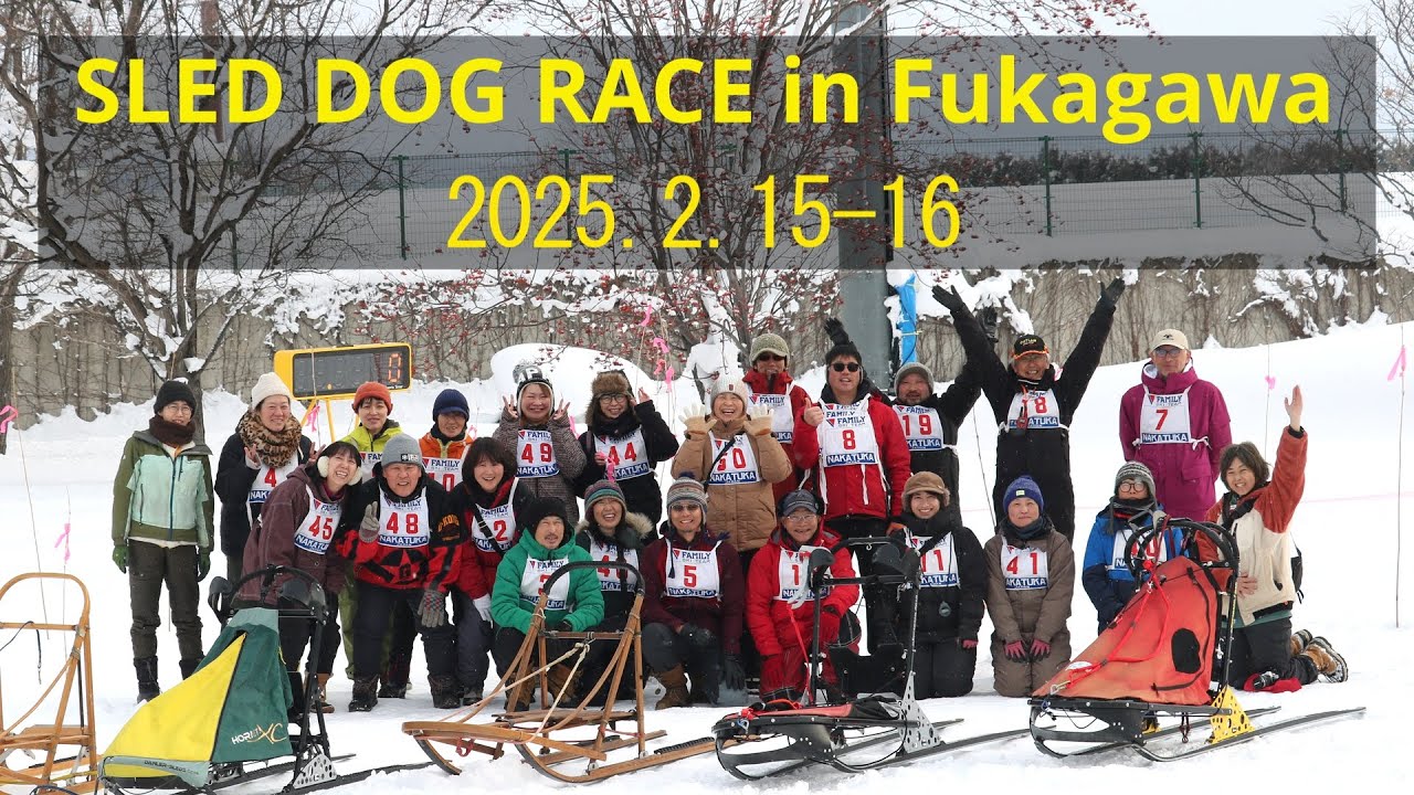 2025.2.15-16  Sled Dog Race in Fukagawa