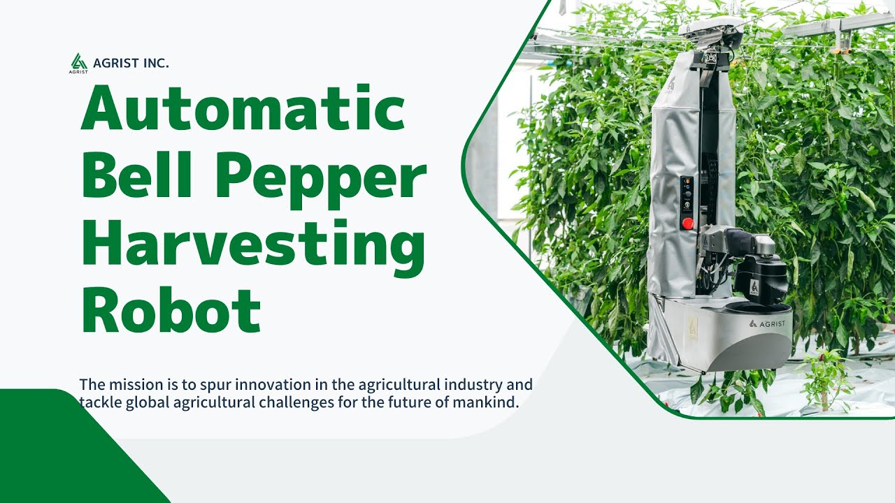 Automatic green bell pepper harvesting robot「Ｌ」Product Video