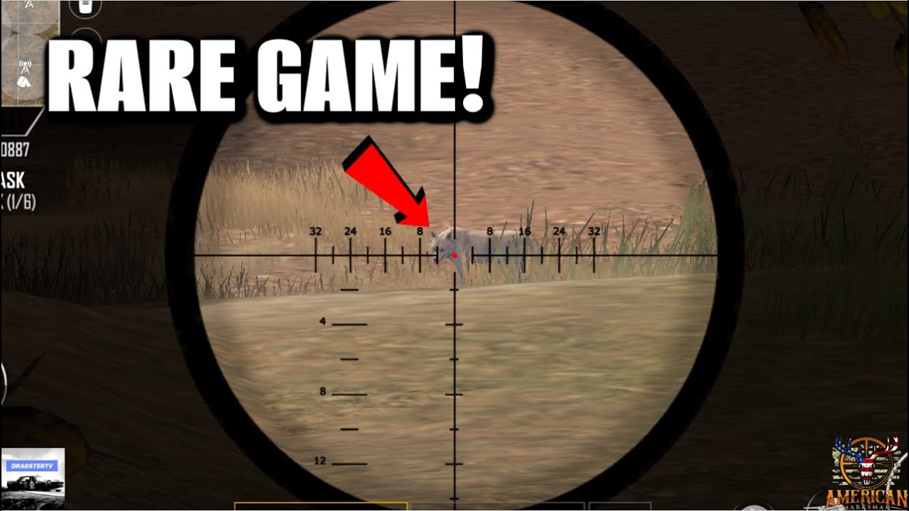 Hunting BIG GAME in American Marksman!