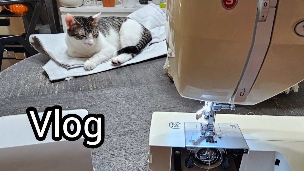 Mūsų rutina... Tvarkom, siuvam... 🙄🐯🇺🇸