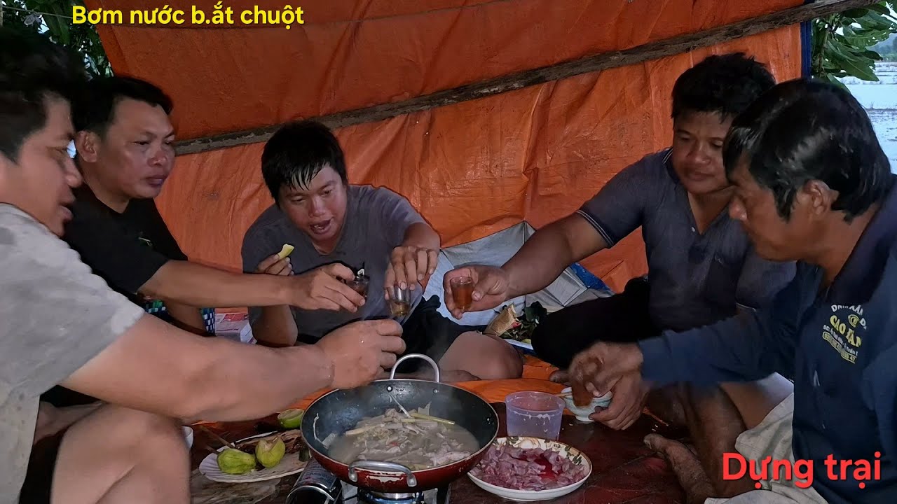 Dựng trại giữa cánh đồng || Bơm nước b.ắt chuột lai rai mùa nước nổi