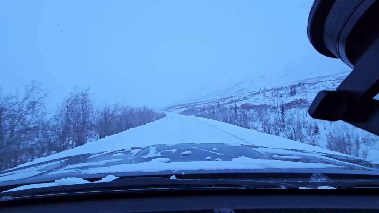 Arctic Boreal Forest 