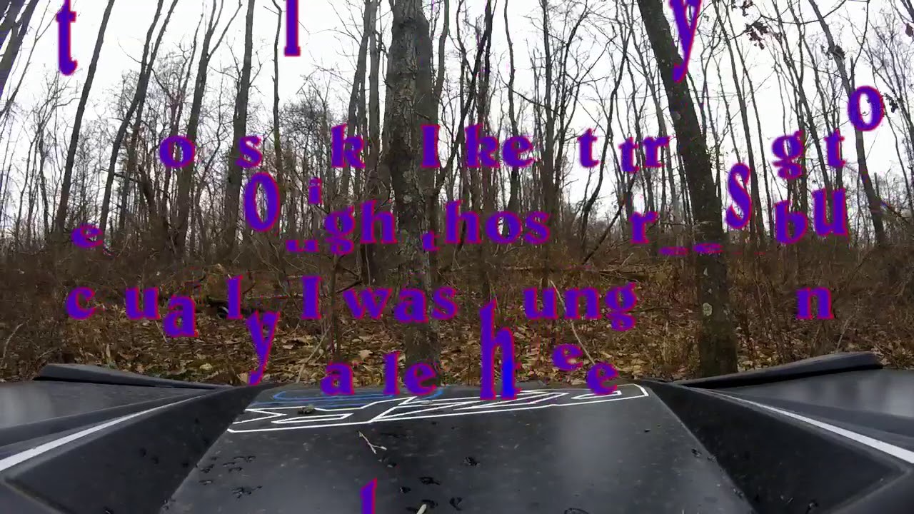 1st Ride in the Rzr