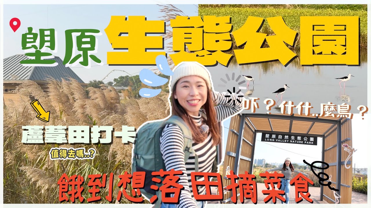 【塱原生態公園】超多蘆葦草打卡😻輕鬆半天遊！我餓到想下田採菜吃? 值得去嗎？☺️看到一堆不知名雀仔?｜塱原｜騎雲遊記