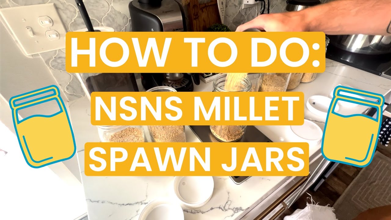 How To Do: NSNS Millet Spawn Jars