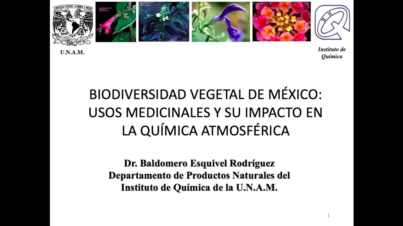 BIODIVERSIDAD VEGETAL DE MÉXICO: USOS MEDICINALES Y SU IMPACTO EN LA QUÍMICA ATMOSFÉRICA