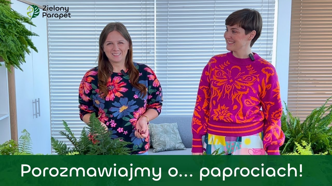 Porozmawiajmy o... paprociach – pielęgnacja i najpopularniejsze gatunki do domu