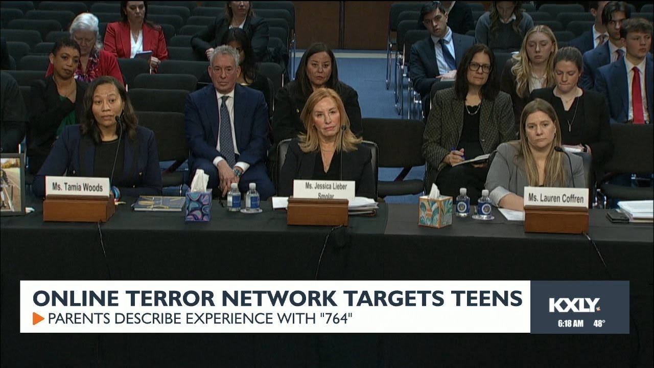 Online terror network targets teens