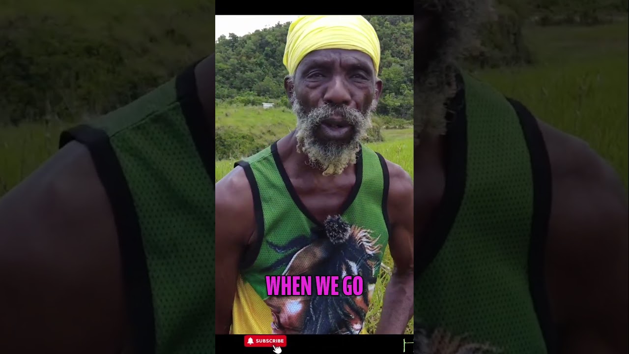 Jamaican Herbalist | Ancestral Wisdom for Health & Longevity