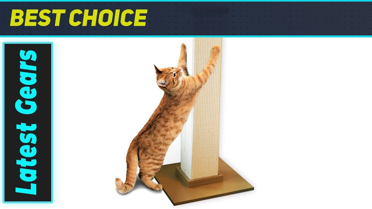 SmartCat Ultimate Post: BEST Scratcher for Cats?