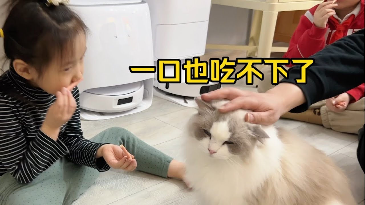 事实证明了，谁辅导作业谁疯，猫也不例外