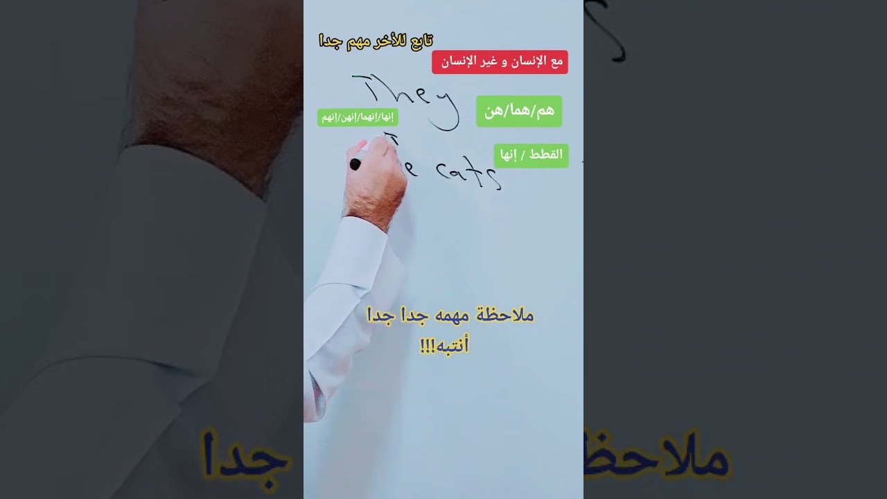 متى يستخدم الضمير they في اللغة الانجليزية