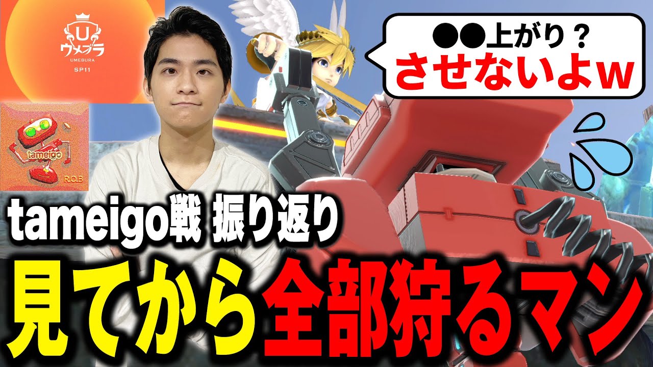 【ウメブラSP11】確認の申し子ザクレイの意識配分を教えます【スマブラSP】