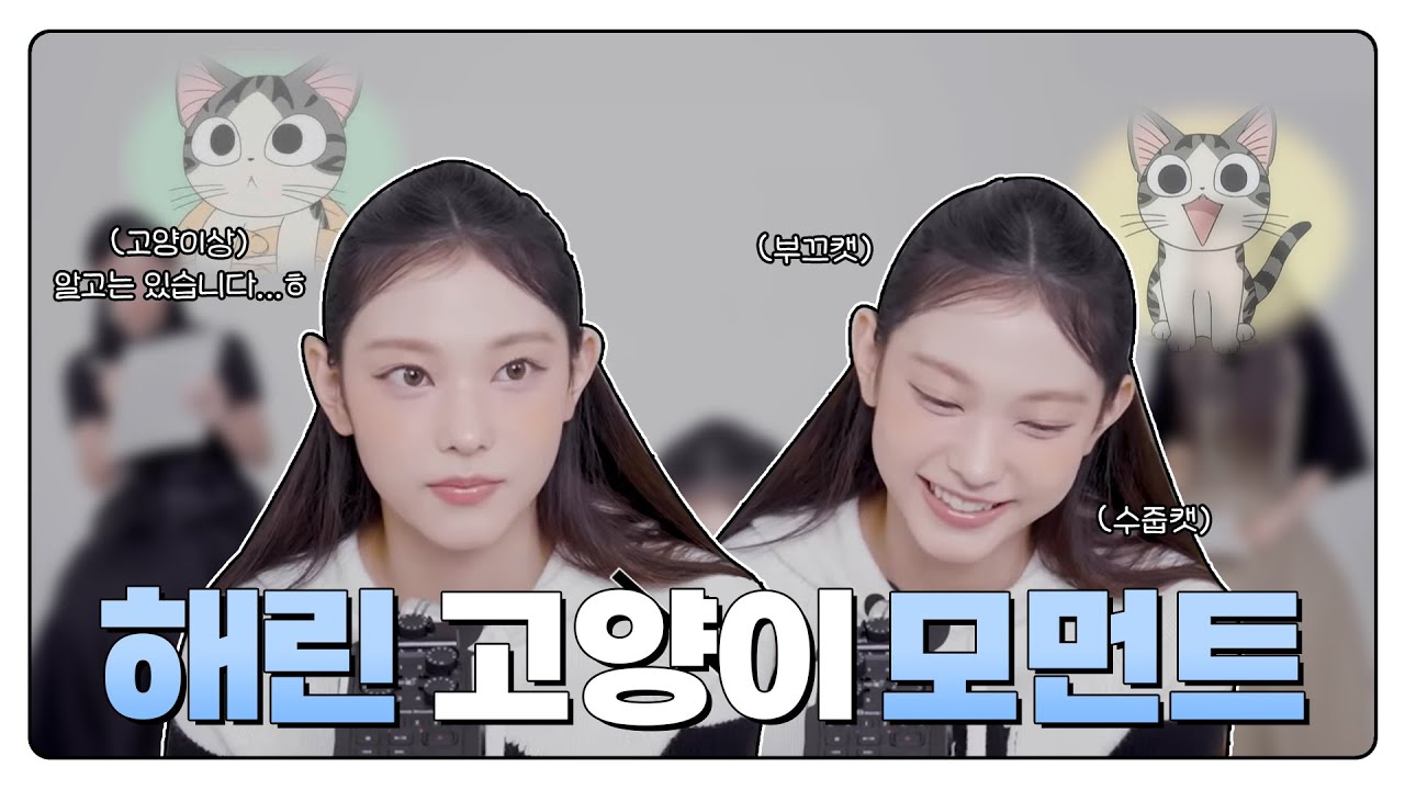 [뉴진스/해린] 고양이보다 더 고양이 같은 해린 모음 🐱