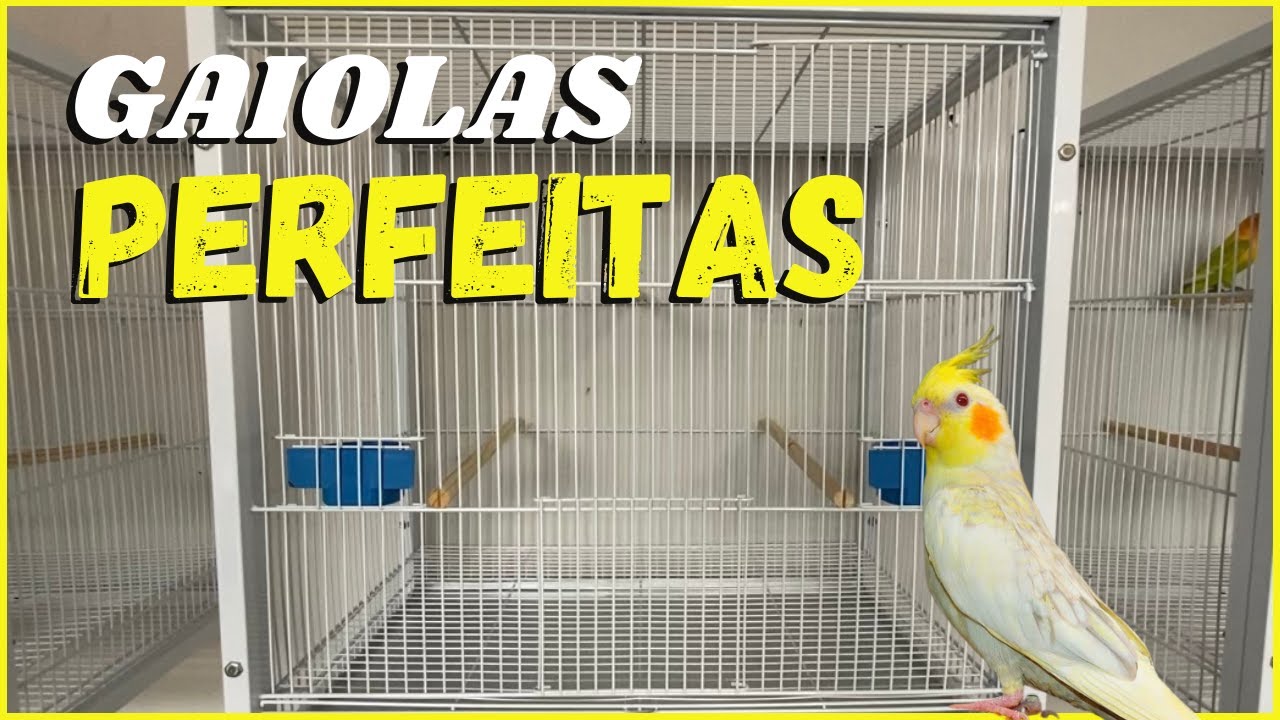 A MELHOR GAIOLA PARA CALOPSITA E AGAPORNIS!