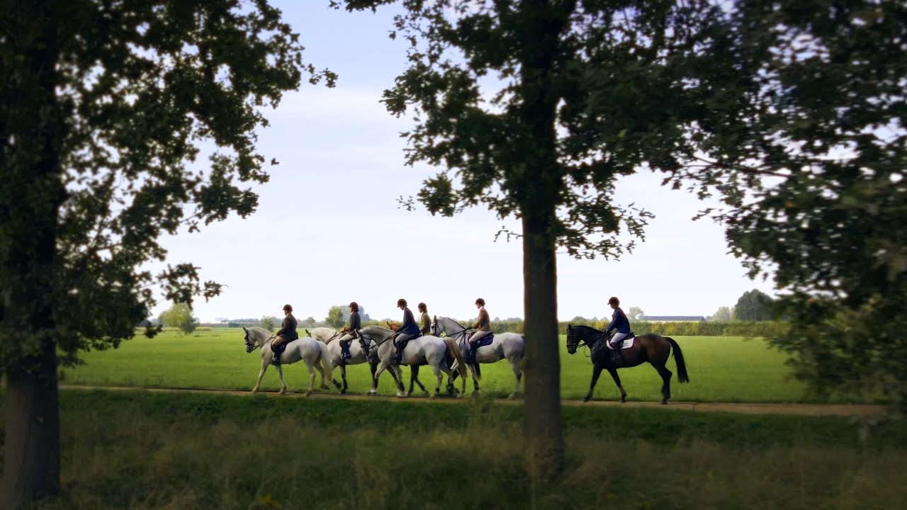 Slipjachtvereniging - De Veluwe Hunt - Ophemert 2022