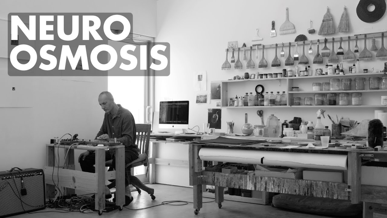 The Mysterious Link Between Art and Science: NEURO OSMOSIS (2024)