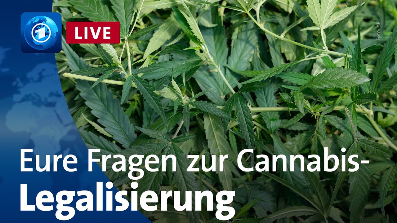 Cannabis-Legalisierung: Der Drogenbeauftragte der Bundesregierung stellt sich euren Fragen