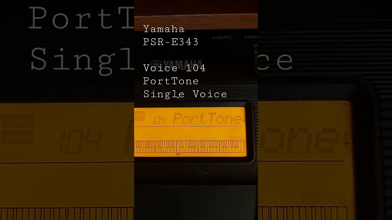 Keyboardist Voice Feature - PortTone Voice - Yamaha PSR-E343