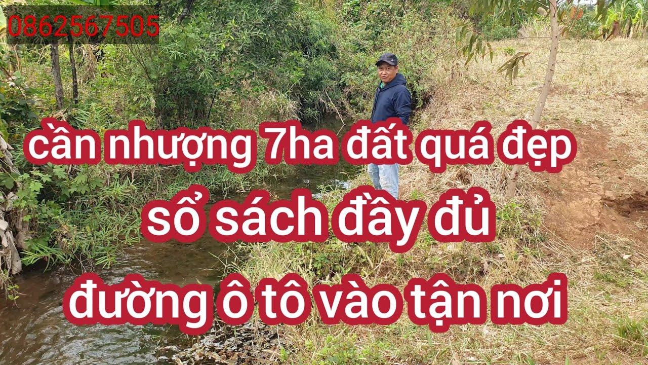 Cần nhượng 7ha đất đỏ đen có bìa đường xã thuận tiện ôtô vào tận nơi 