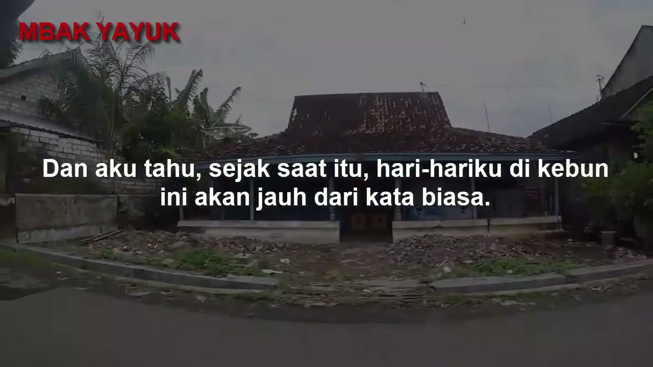 Kisah Nyata - Menolong Bu Hajah Siti Saat Berada di Kebun