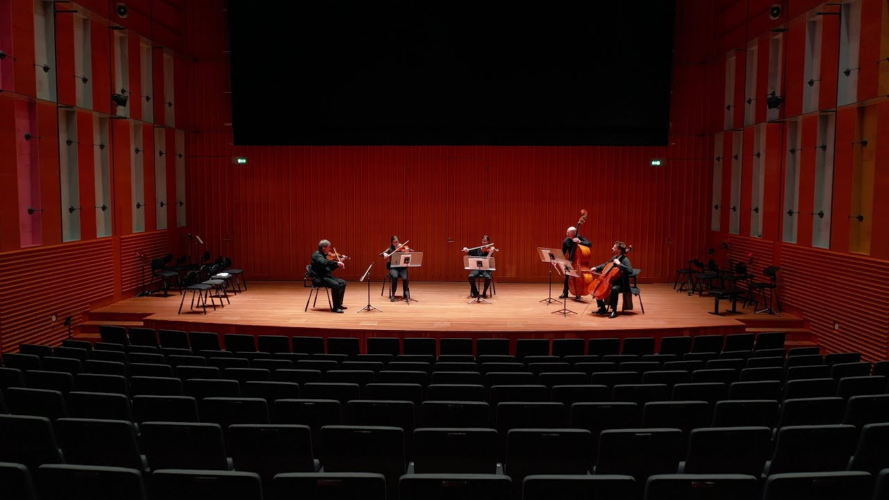 Lapland Chamber Orchestra: Max Reger 'Lyrisches Andante'
