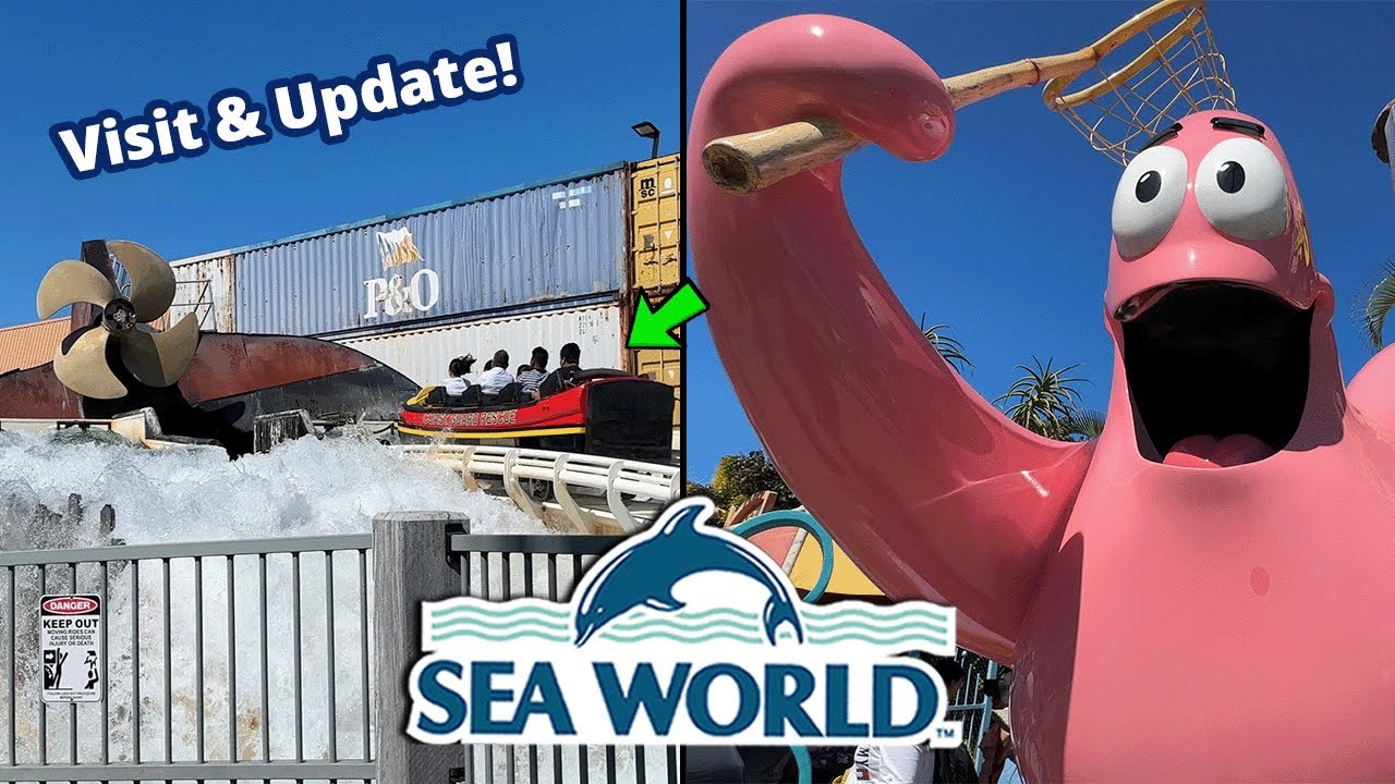 Sea World Gold Coast | December 2023 Park Visit & Update! | Theme Park Video
