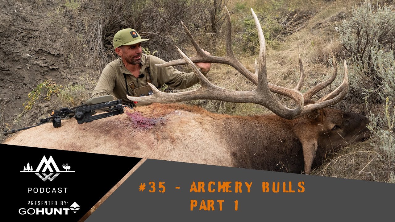 #35 - Archery Bulls Part 1