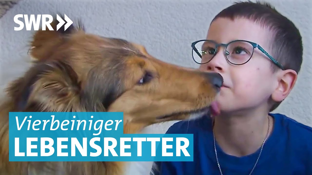 Kein normales Haustier: Epilepsiehund Ganja