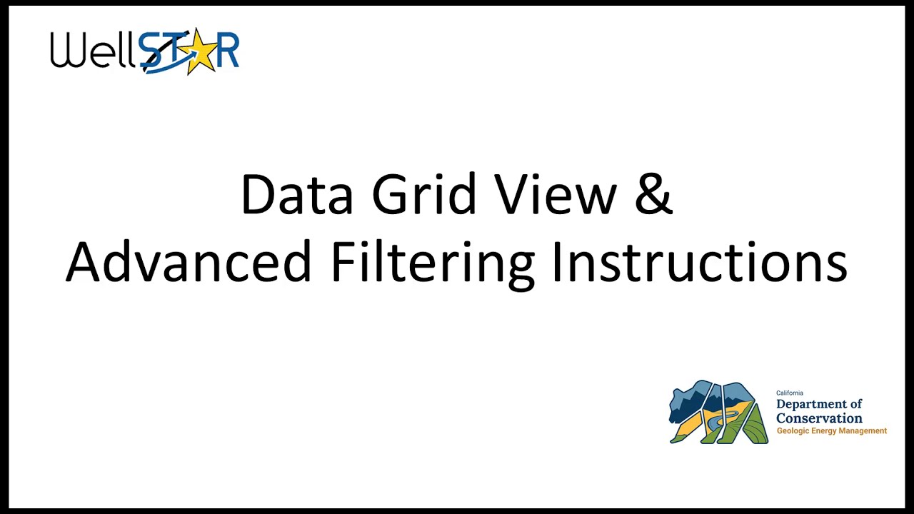 WellSTAR Data Grid View and Advanced Filtering Instructions