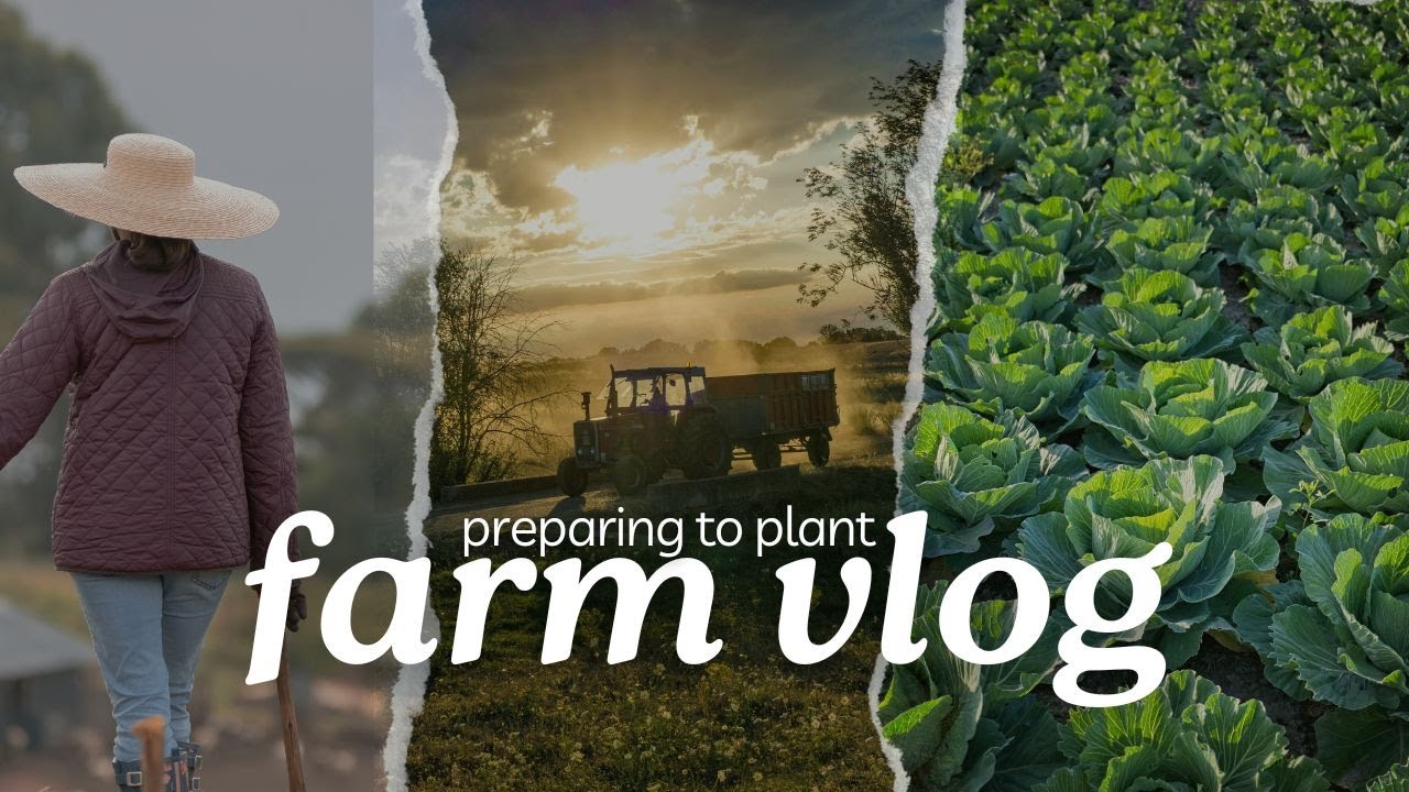 Profitable Vegetable Farm Preparation | Comforting Dinner at Home