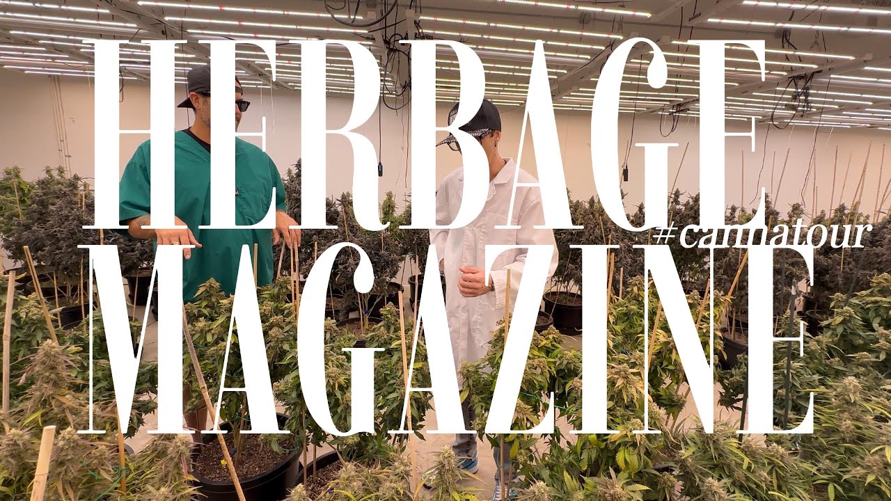 Dank Harvest Chronicles: Exploring Hall of Dank Solventless in Geronimo, OK -The Ultimate Cannatour!