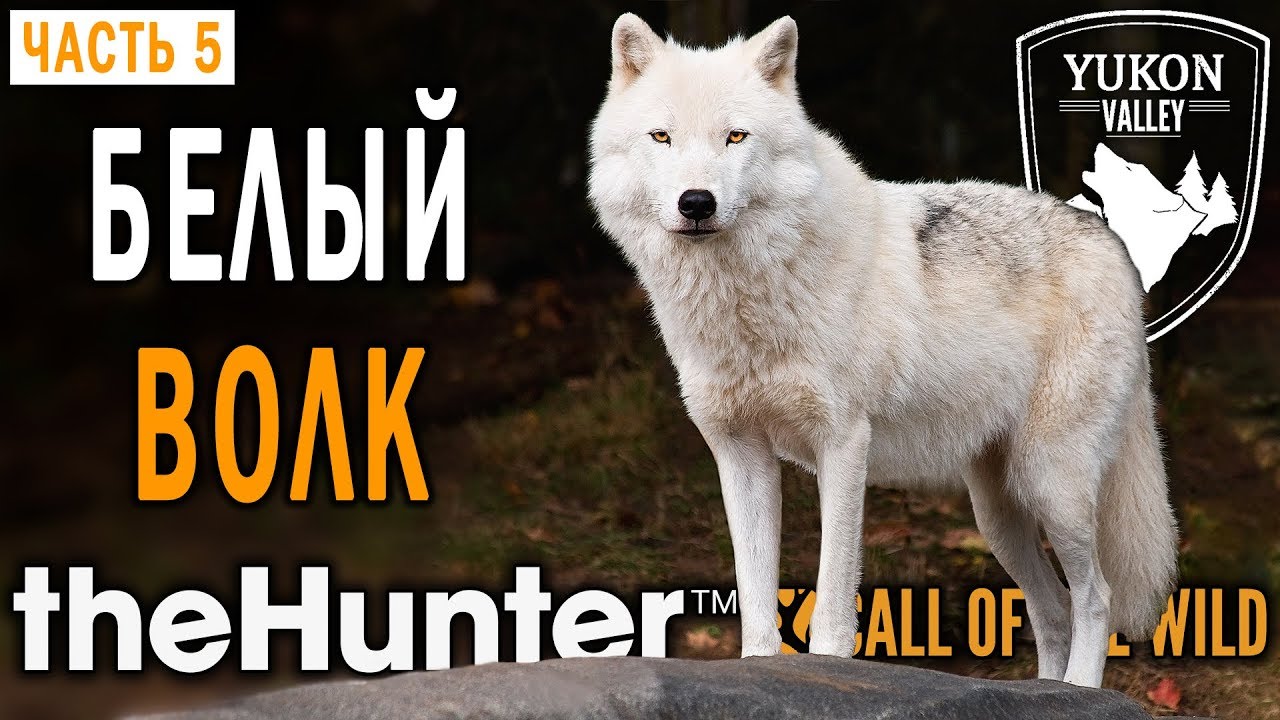 theHunter Call of the Wild #5 🐺 - Трофей: Белый Волк - Долина Юкона, Аляска